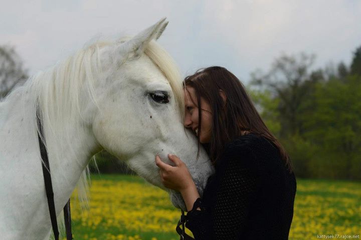 Dialog s mými koňmi :) 180